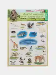 Серый наклейки тематические. Набор наклеек. Стикеры. Многоразовые. Раскраска. Для детей с 3 лет