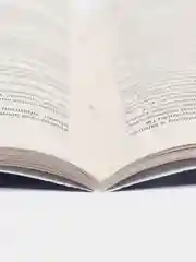 Новые Правила противопожарного режима в Российской Федерации