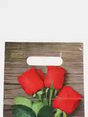 Коралловый пакет подарочный на день рождения, "8 марта", 5 штук, 20 х 30 см/ день учителя, 1 сентября