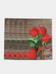Коралловый пакет подарочный на день рождения, "8 марта", 5 штук, 20 х 30 см/ день учителя, 1 сентября