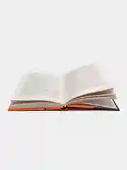 Книга "Медленная смерть", Стюарт Хоум