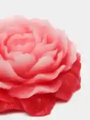Коралловый мыло ручной работы /Подарок маме/ Подарочный набор