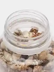 Ракушки-мини "спираль", 0,8-1,3 мм, COLOR Si