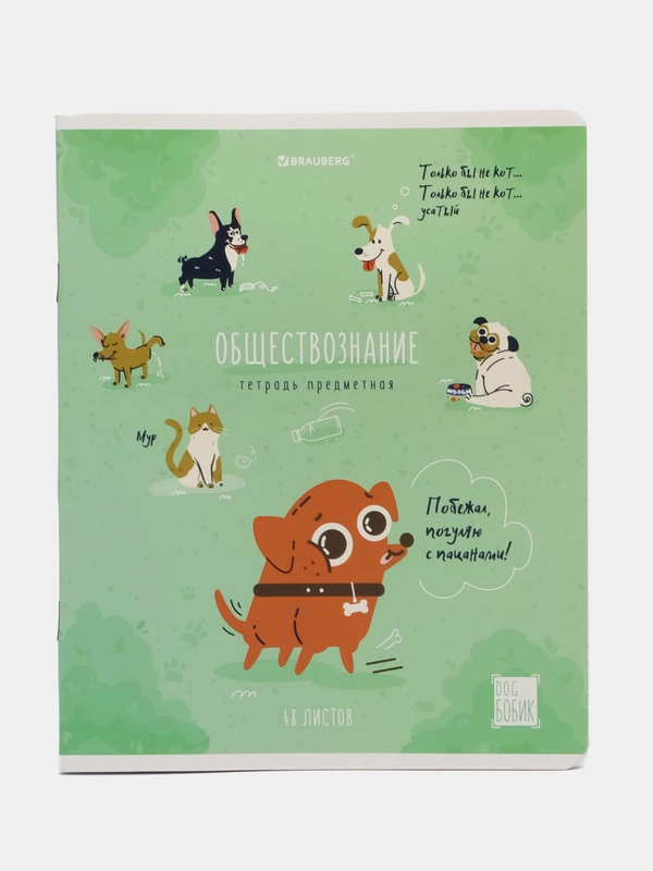 Тетрадь 48 л в клетку предметная для школы, обществознание, Brauberg Dog Бобик, 404783