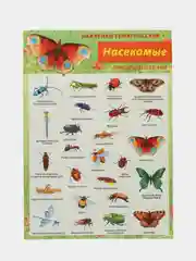 Горчичный наклейки тематические. Набор наклеек. Стикеры. Многоразовые. Раскраска. Для детей с 3 лет