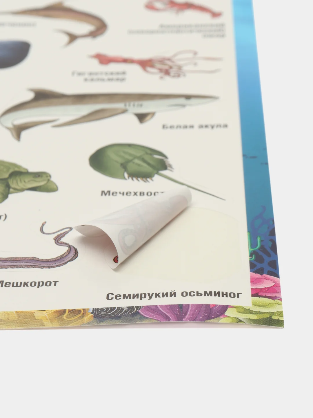Морской наклейки тематические. Набор наклеек. Стикеры. Многоразовые. Раскраска. Для детей с 3 лет
