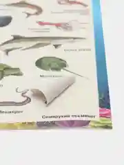 Морской наклейки тематические. Набор наклеек. Стикеры. Многоразовые. Раскраска. Для детей с 3 лет
