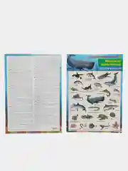 Морской наклейки тематические. Набор наклеек. Стикеры. Многоразовые. Раскраска. Для детей с 3 лет