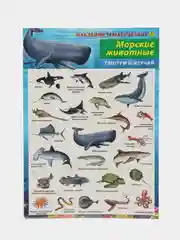 Морской наклейки тематические. Набор наклеек. Стикеры. Многоразовые. Раскраска. Для детей с 3 лет