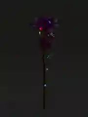 Красный роза светящаяся