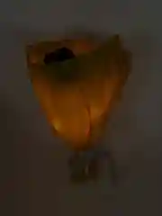 Готовый!Светящийся букет из бабочек