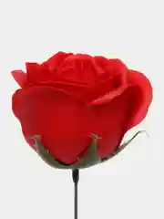 Багровый букет из мыльных роз/букет роз