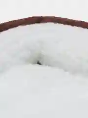 Зеленый лежанка для кошек и мелких пород собак
