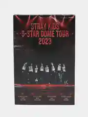 Багровый карточки K-POP Stray Kids, 55 штук
