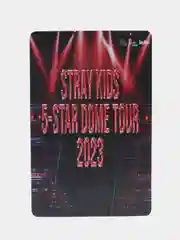 Багровый карточки K-POP Stray Kids, 55 штук