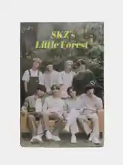 Светло-синий карточки K-POP Stray Kids, 55 штук