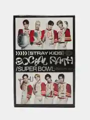 Серебряный карточки K-POP Stray Kids, 55 штук
