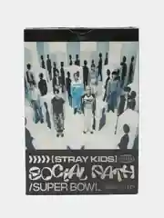 Серебряный карточки K-POP Stray Kids, 55 штук