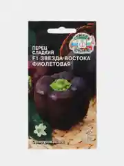 Завезда востока фиолетовая перец сладкий Седек