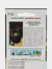 Завезда востока фиолетовая перец сладкий Седек