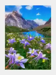 Алый алмазная мозаика на подрамнике 40*50 полная выкладка