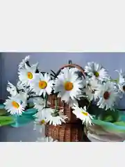Аметистовый алмазная мозаика на подрамнике 40*50 полная выкладка