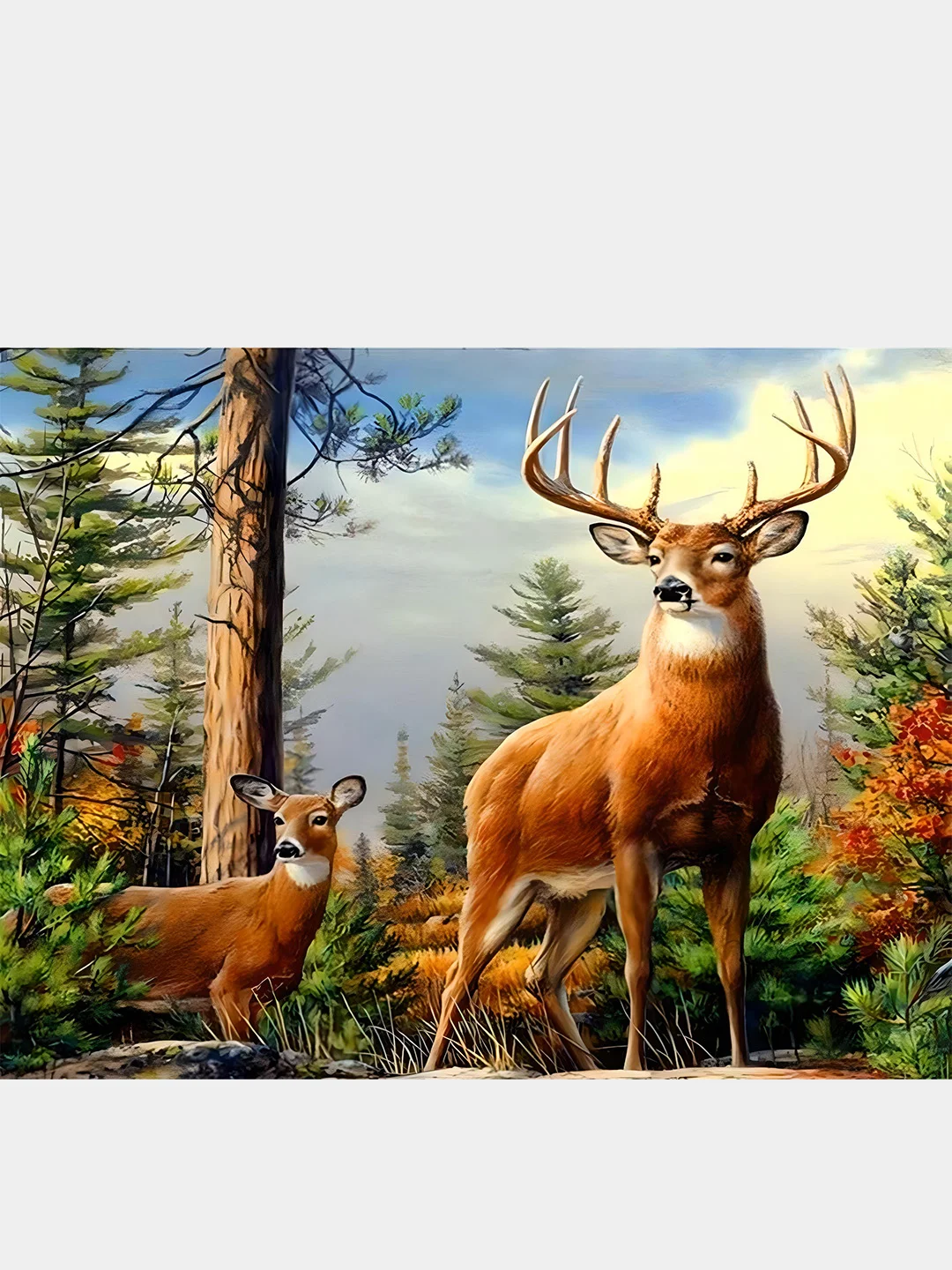 Коралловый алмазная мозаика на подрамнике 40*50 полная выкладка