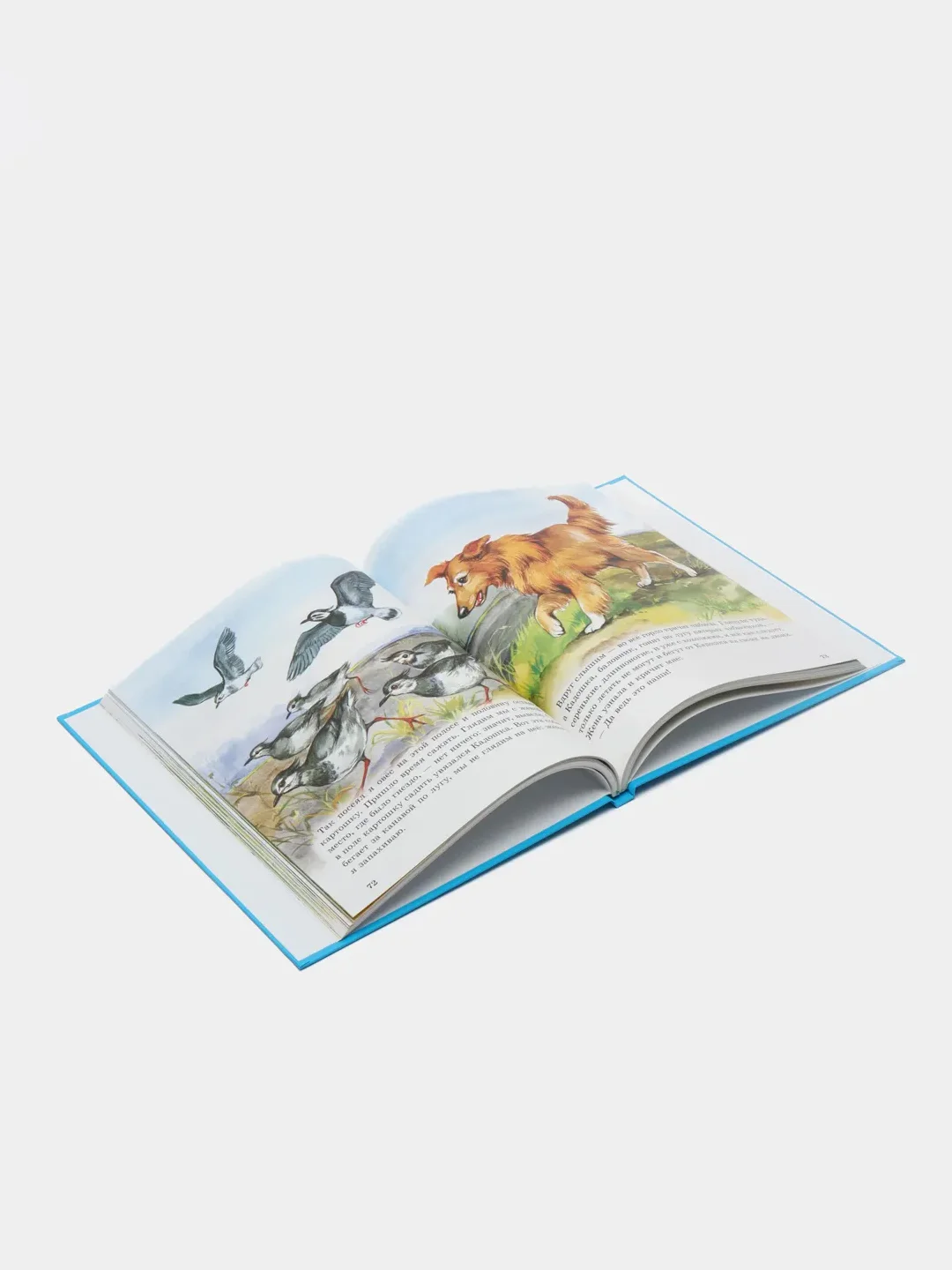 Детская книга "Рассказы о животных малышам", Михаил Пришвин, Проф-Пресс
