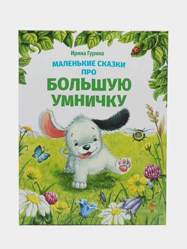 Маленькие сказки про большую умничку. ДХЛ