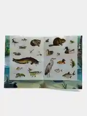 Оранжевый книга с наклейками Животные Рыбы. Детские наклейки
