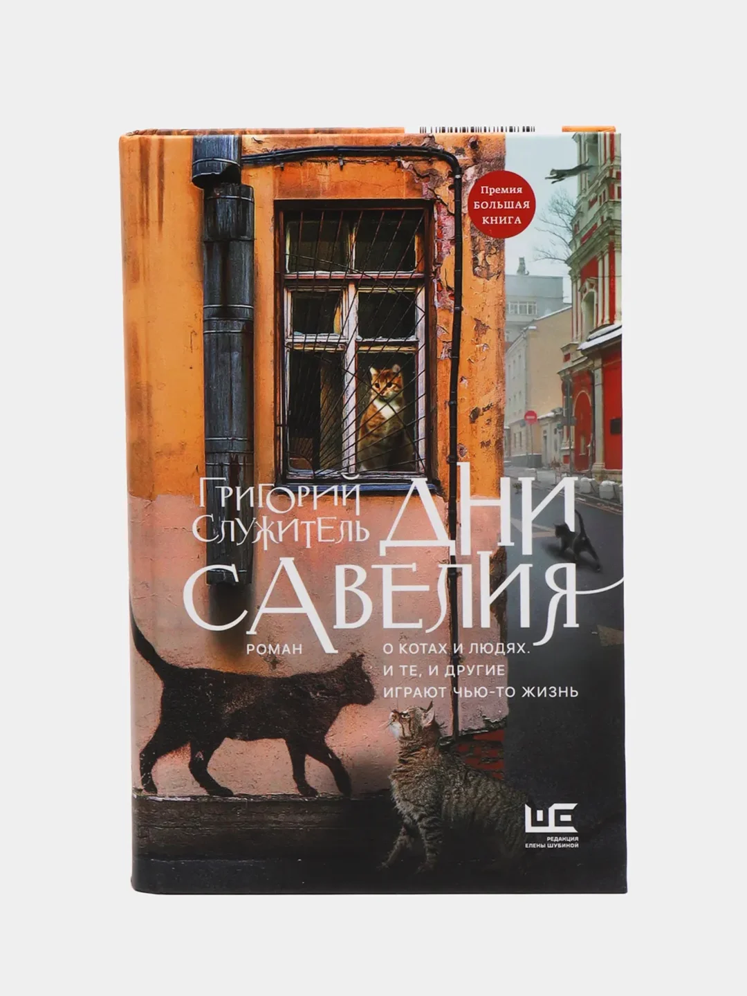 Служитель дни савелия книга. Дни савелия книга. Дни савелия книга. Служитель г. Служитель дни.
