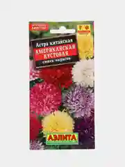 Астра Американская кустовая (семена,цветы)