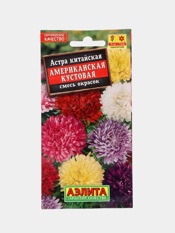 Астра Американская кустовая (семена,цветы)
