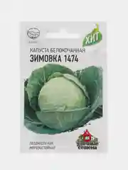 Семена капуста белокочанная "Зимовка","Июньская"