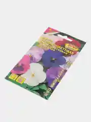 Виола Обильноцветущая, семена, цветы