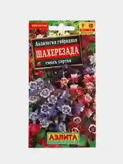 Аквилегия Шахерезада (семена, цветы)