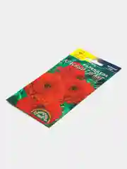 Календула "Красный гигант" (семена, цветы)
