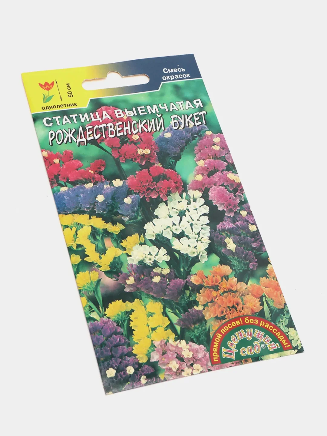 Статица Рождественский, семена, цветы