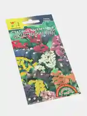 Статица Рождественский, семена, цветы