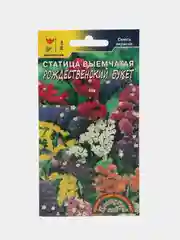 Статица Рождественский, семена, цветы