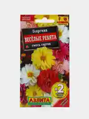 Георгина Веселые ребята (семена,цветы)
