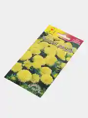 Астра Бордюр золотой, семена, цветы