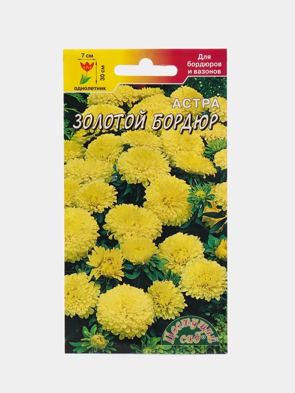 Астра Бордюр золотой, семена, цветы
