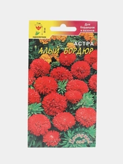 Астра Бордюр алый (семена,цветы)