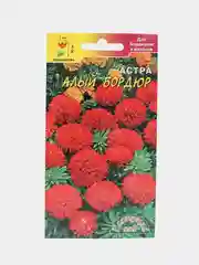 Астра Бордюр алый (семена,цветы)