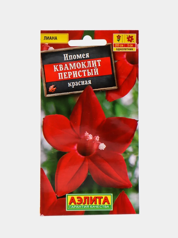 Ипомея Квамоклит красная (семена, цветы)