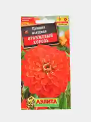 Цинния Оранжевый король (семена,цветы)