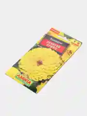 Календула Золотой принц (семена,цветы)