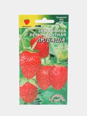 Земляника Любаша (семена)