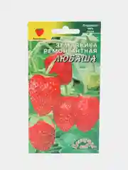 Земляника Любаша (семена)
